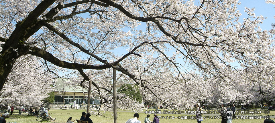 小金井公園