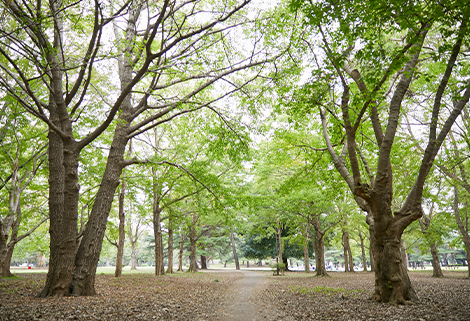野川公園