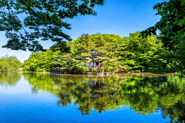石神井公園