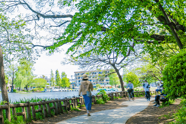 石神井公園